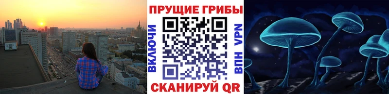 Галлюциногенные грибы Psilocybe  Купить  Дальнереченск 